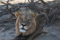 Kgalagadi-16