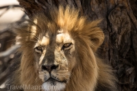 Kgalagadi-29