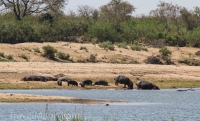 Kruger - Olifants Rest Camp -1