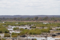 Kruger - Olifants Rest Camp -10