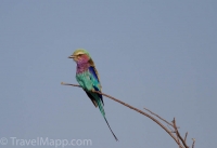Kruger - Olifants Rest Camp -11