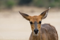 Kruger - Olifants Rest Camp -5