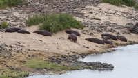 Kruger - Olifants Rest Camp -7