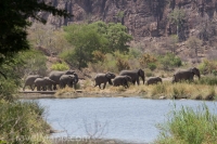 Kruger - Satara Rest Camp -11