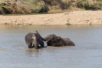 Kruger - Shingwedzi Rest Camp -10