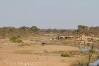 Kruger - Shingwedzi Rest Camp -11