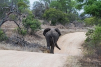 Kruger - Skukuza Rest Camp -15
