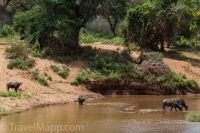 Kruger - Punda Maria Rest Camp -12