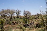 Kruger - Punda Maria Rest Camp -15