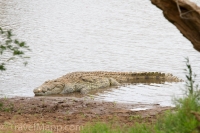 Kruger - Punda Maria Rest Camp -6