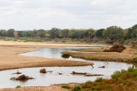 Kruger - Punda Maria Rest Camp -7