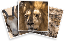 Costa Rica Travelmapp Photo Gallery