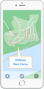 Olifants-iPhoneZoom